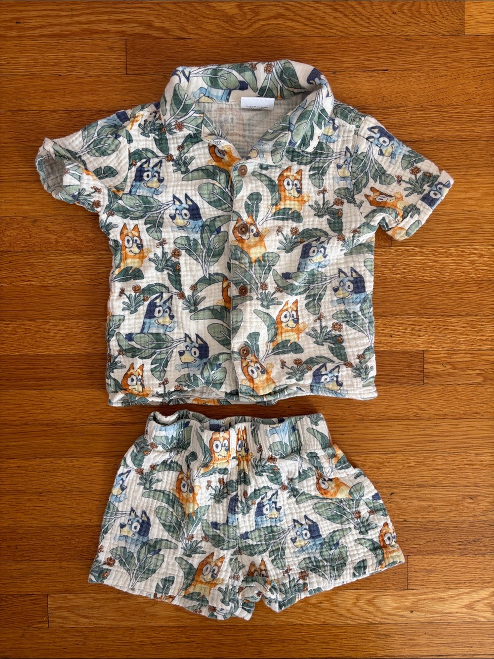 Kids Bluey Outfit